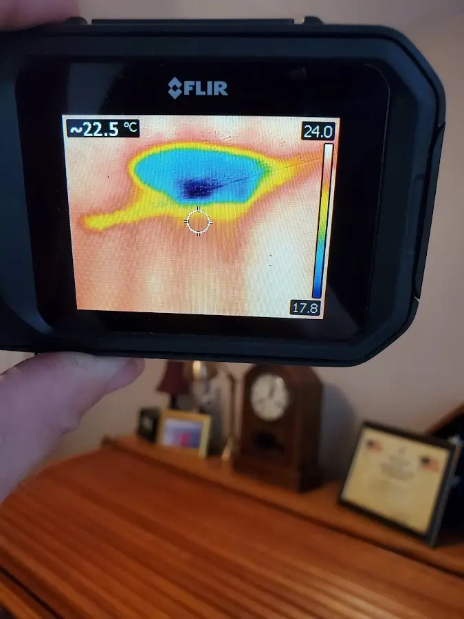 Thermal imaging inspection for water damage in Monroe